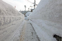 雪の十日町　雪の壁の歩道　新潟県　十日町市 [MAS110007329]