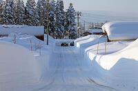 雪の十日町の様子　新潟県　十日町市 [MAS110007334]