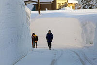雪の登校　新潟県　十日町市 [MAS110007342]