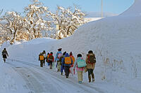 雪の登校　新潟県　十日町市 [MAS110007348]