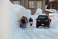 雪の登校　新潟県　十日町市 [MAS110007352]