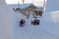 雪の登校　新潟県　十日町市 [MAS110007353]