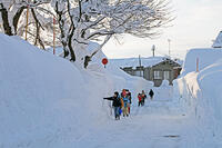 雪の登校　新潟県　十日町市 [MAS110007355]