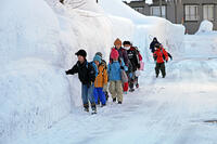 雪の登校　新潟県　十日町市 [MAS110007357]