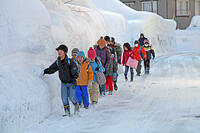 雪の登校　新潟県　十日町市 [MAS110007358]