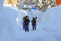 雪の登校　新潟県　十日町市 [MAS110007361]