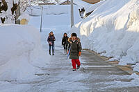 雪の登校　新潟県　十日町市 [MAS110007370]