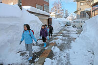 雪の登校　新潟県　十日町市 [MAS110007377]