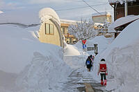 雪の登校　新潟県　十日町市 [MAS110007378]
