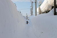雪の登校　新潟県　十日町市 [MAS110007379]