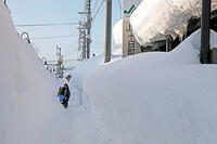 雪の登校　新潟県　十日町市 [MAS110007380]