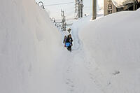 雪の登校　新潟県　十日町市 [MAS110007381]