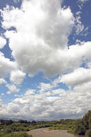 積雲（綿雲）　北海道　芽室町（十勝橋） [MAS110007383]