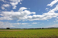 積雲（綿雲）　北海道　清水町 [MAS110007384]