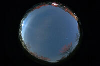 春の全天星座（画面上が北）　2015.4.18　22h09m　群馬県　下仁田町 [MAS110007391]