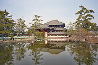 東大寺　大仏殿　奈良県 [MAS110008826]