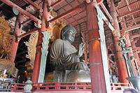 東大寺　大仏　奈良県　奈良市 [MAS110008840]