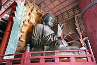 東大寺　大仏　奈良県　奈良市 [MAS110008841]