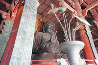東大寺　大仏　奈良県　奈良市 [MAS110008846]
