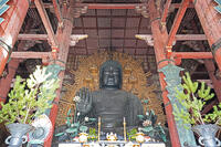 東大寺　大仏　奈良県　奈良市 [MAS110008850]