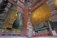 東大寺　大仏　背面側　奈良県　奈良市 [MAS110008851]