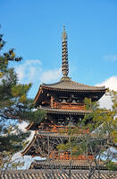 法隆寺　五重塔　奈良県　斑鳩町 [MAS110008891]