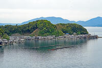 伊根湾の養殖いかだ　京都府　伊根町 [MAS110009835]