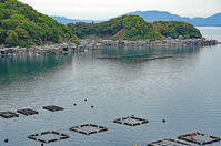 伊根湾の養殖いかだ　京都府　伊根町 [MAS110009836]