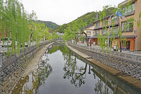 城崎温泉　兵庫県　豊岡市 [MAS110009857]