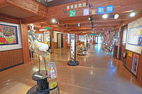 兵庫県立コウノトリの郷公園　コウノトリ文化館の展示　兵庫県　豊岡市 [MAS110009861]