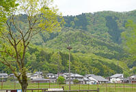 兵庫県立コウノトリの郷公園　人工巣塔で子育て中ノコウノトリ　兵庫県　豊岡市 [MAS110009894]