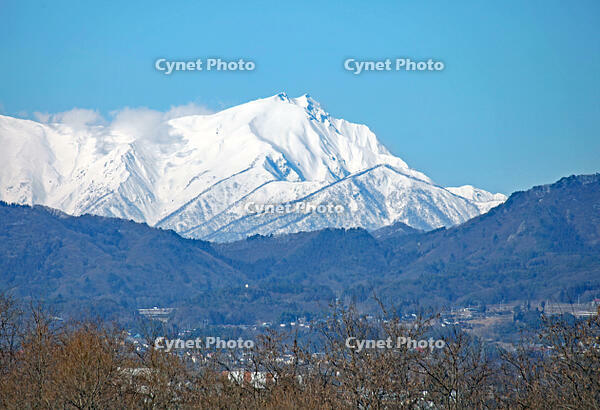 沼田市から見た谷川岳　群馬県　沼田市 [MAS110007310]