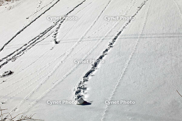 雪まくり　新潟県　湯沢町 [MAS110007313]