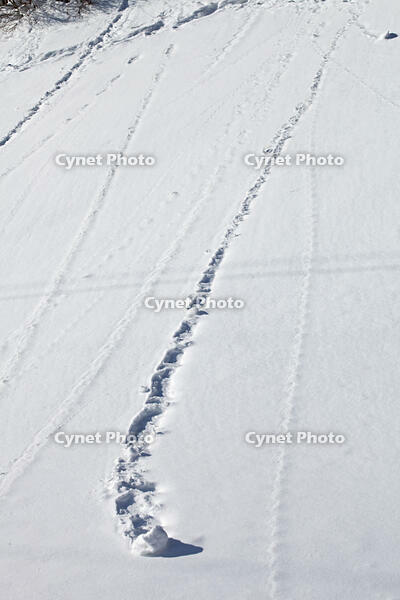 雪まくり　新潟県　湯沢町 [MAS110007314]