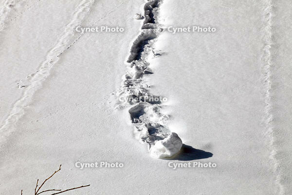 雪まくり　新潟県　湯沢町 [MAS110007315]