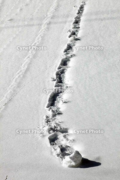 雪まくり　新潟県　湯沢町 [MAS110007316]