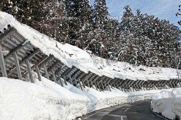 雪崩防護柵　新潟県　津南町 [MAS110007317]