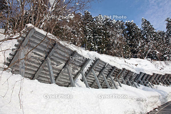 雪崩防護柵　新潟県　津南町 [MAS110007318]