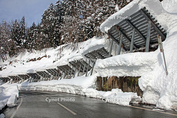 雪崩防護柵　新潟県　津南町 [MAS110007319]
