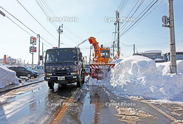 道路の除雪　新潟県　十日町市 [MAS110007324]