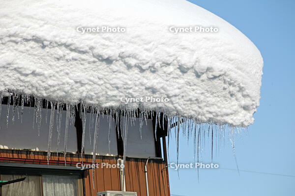屋根に積もった雪とツララ　新潟県　十日町市 [MAS110007327]