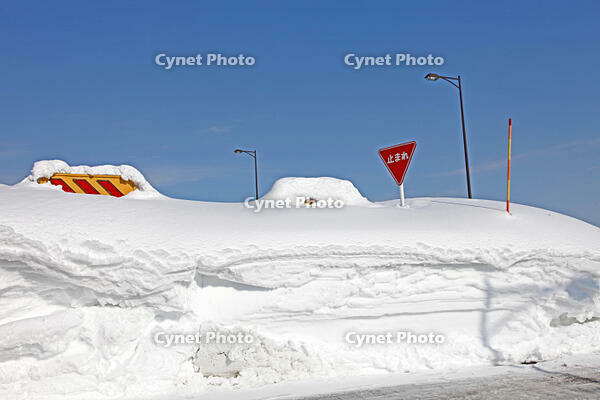 雪に埋まった交通標識　新潟県　十日町市 [MAS110007328]
