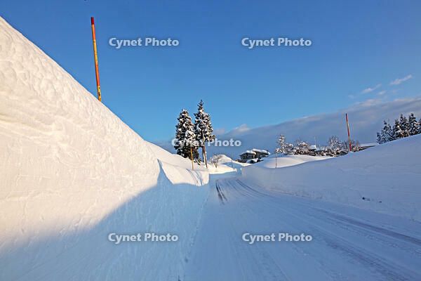 雪の十日町の様子　新潟県　十日町市 [MAS110007331]