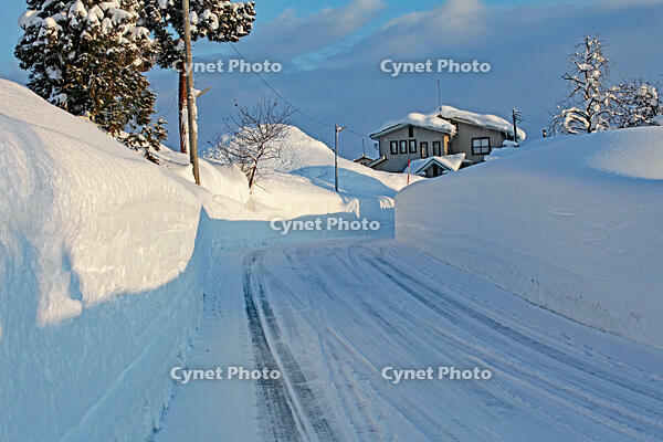 雪の十日町の様子　新潟県　十日町市 [MAS110007332]