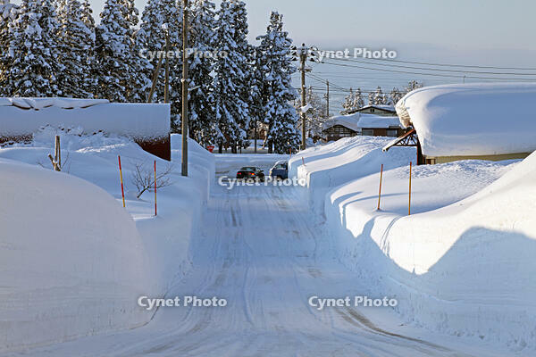 雪の十日町の様子　新潟県　十日町市 [MAS110007334]