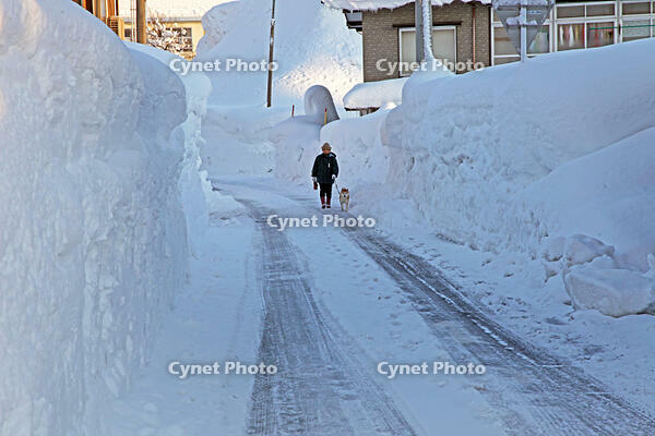 冬の十日町市　新潟県　十日町市 [MAS110007337]
