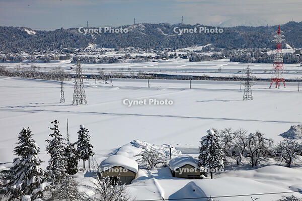 雪の十日町市の様子　新潟県　十日町市 [MAS110007341]
