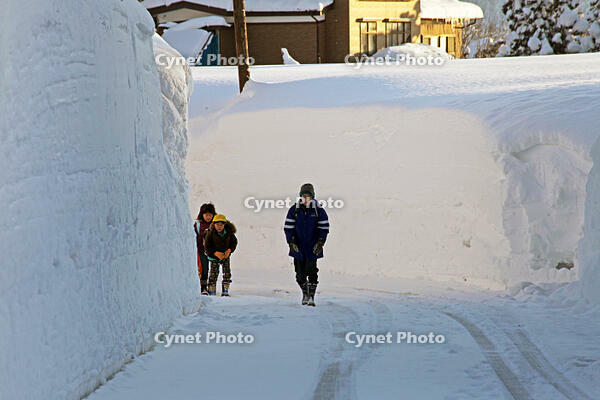 雪の登校　新潟県　十日町市 [MAS110007342]