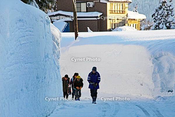 雪の登校　新潟県　十日町市 [MAS110007343]