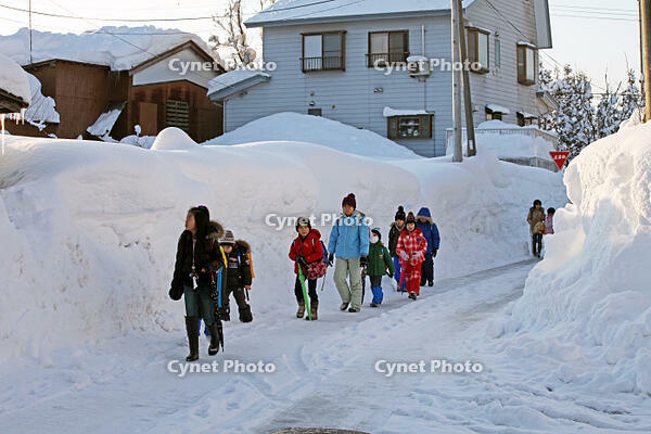 雪の登校　新潟県　十日町市 [MAS110007345]